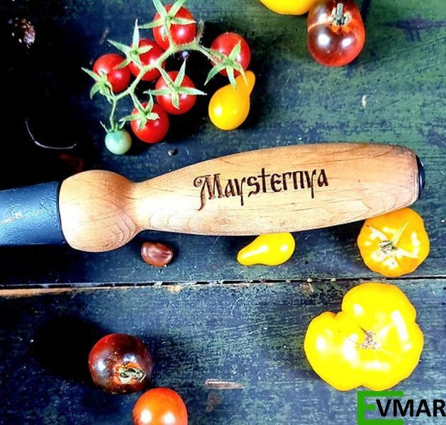 Сковорода млинцева чавунна Maysternya, 24 см (Т301) Т301 фото