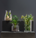 Ваза TRENDGLASS JANNA, 15 см (35722) 35722 фото 3